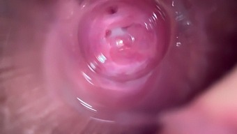 Amateur Brunette Teen'S Intense Orgasm Caught On Camera